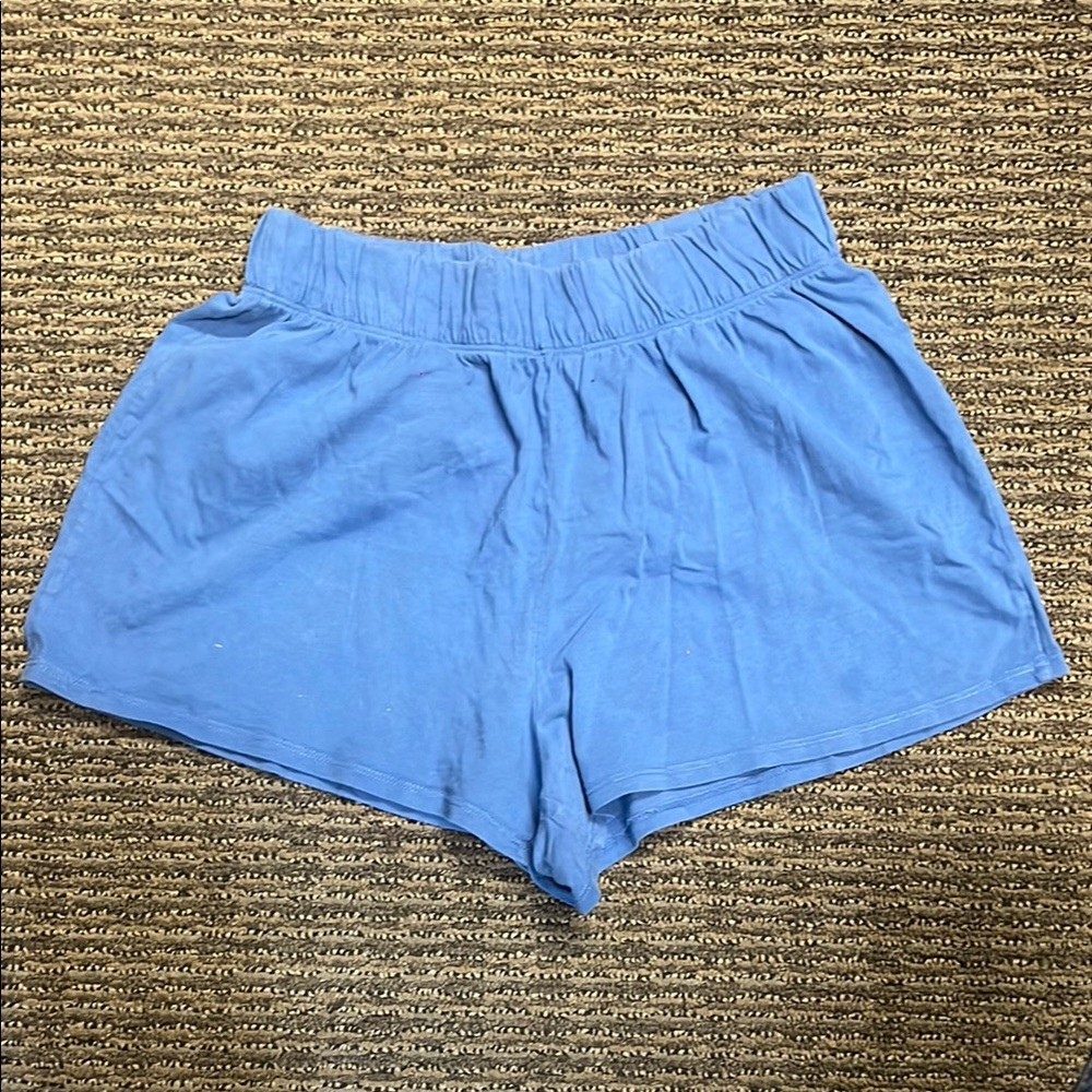 DO NOT PURCHASE Blue Women's Shorts